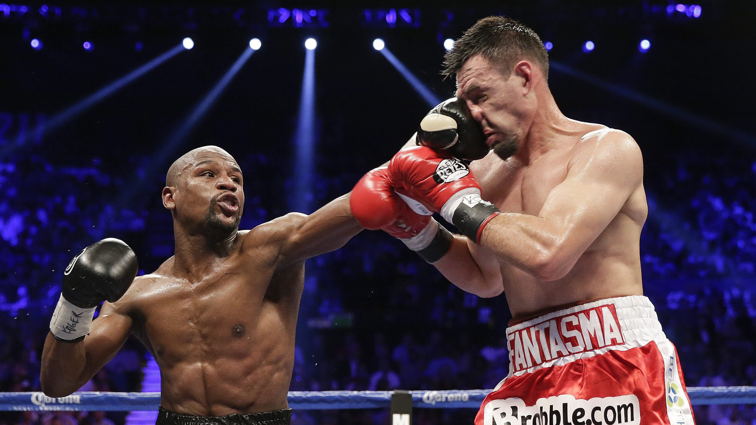 女子蝶泳终点冲刺技术动作，女子蝶泳游泳比赛视频