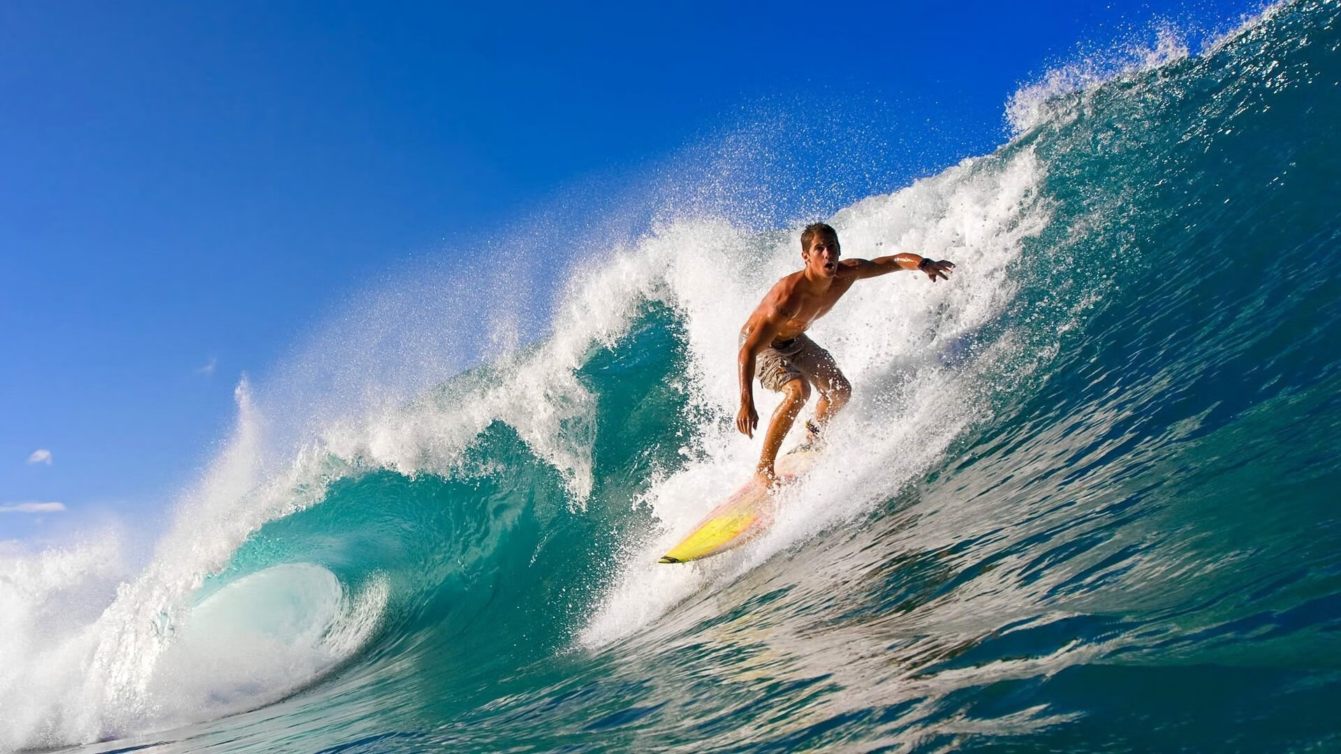 澳大利亚队未来如何适应日益激烈的国际乒乓竞争环境,澳大利亚乒乓球公开赛比赛结果