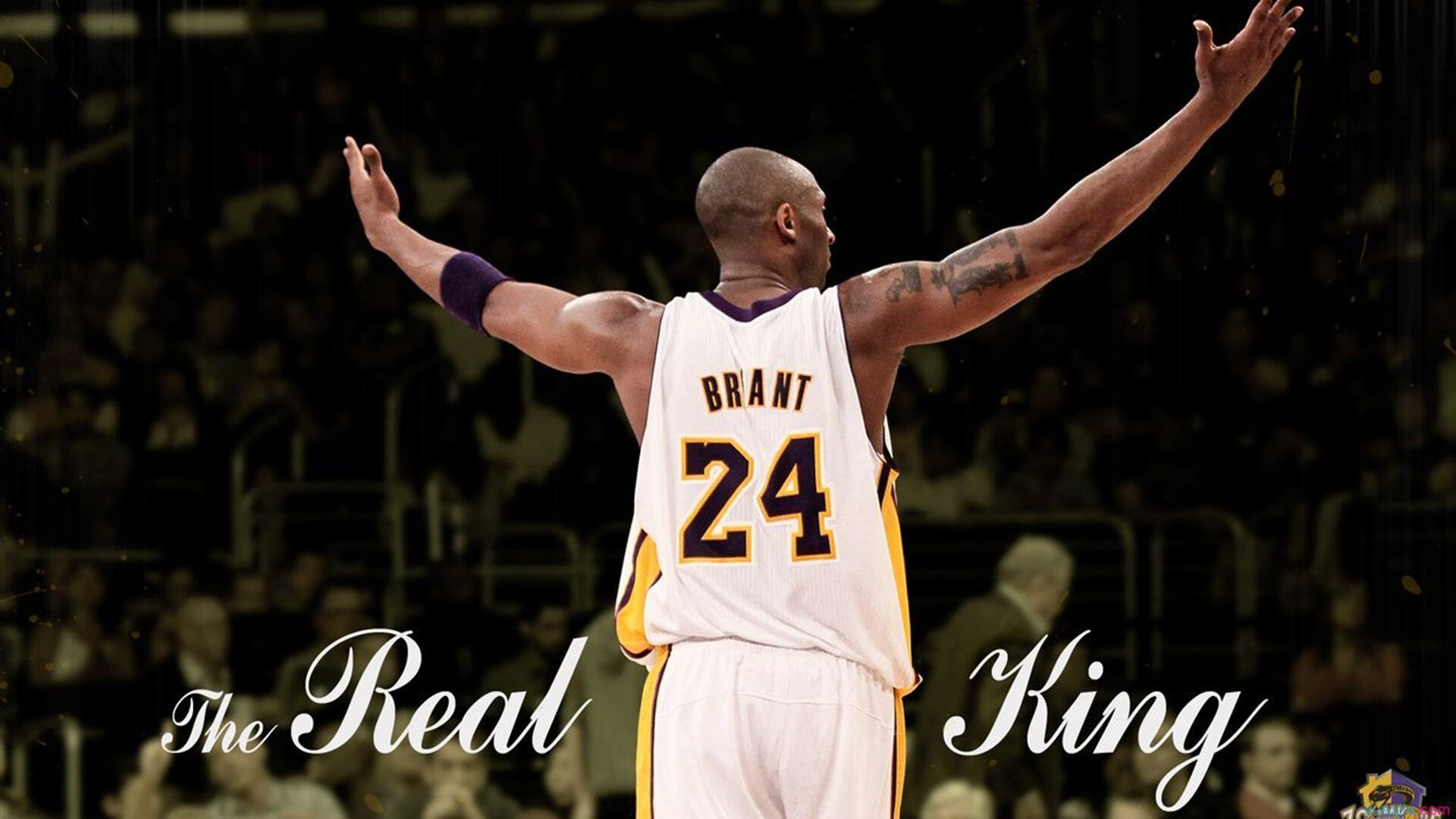 勇士队强势领跑联盟,追逐历史第三冠,勇士连冠阵容